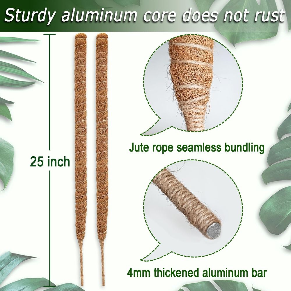เสาค้ำต้นไม้แบบโค้งงอได้ ทำจาก - Sphagnum Moss Dry บทวิจารณ์และราคา