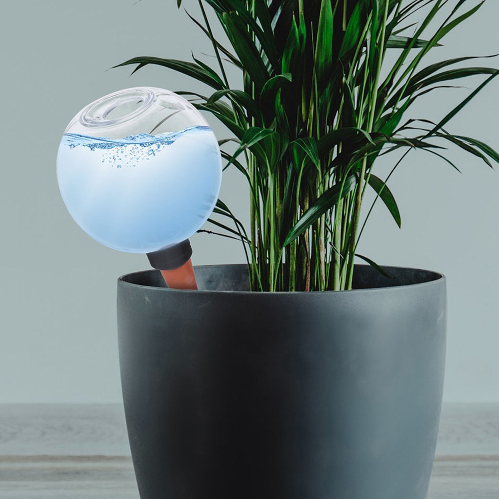 ลูกบอลรดน้ำอัตโนมัติ 3 ชิ้น สำ - Self Watering Insert บทวิจารณ์และราคา