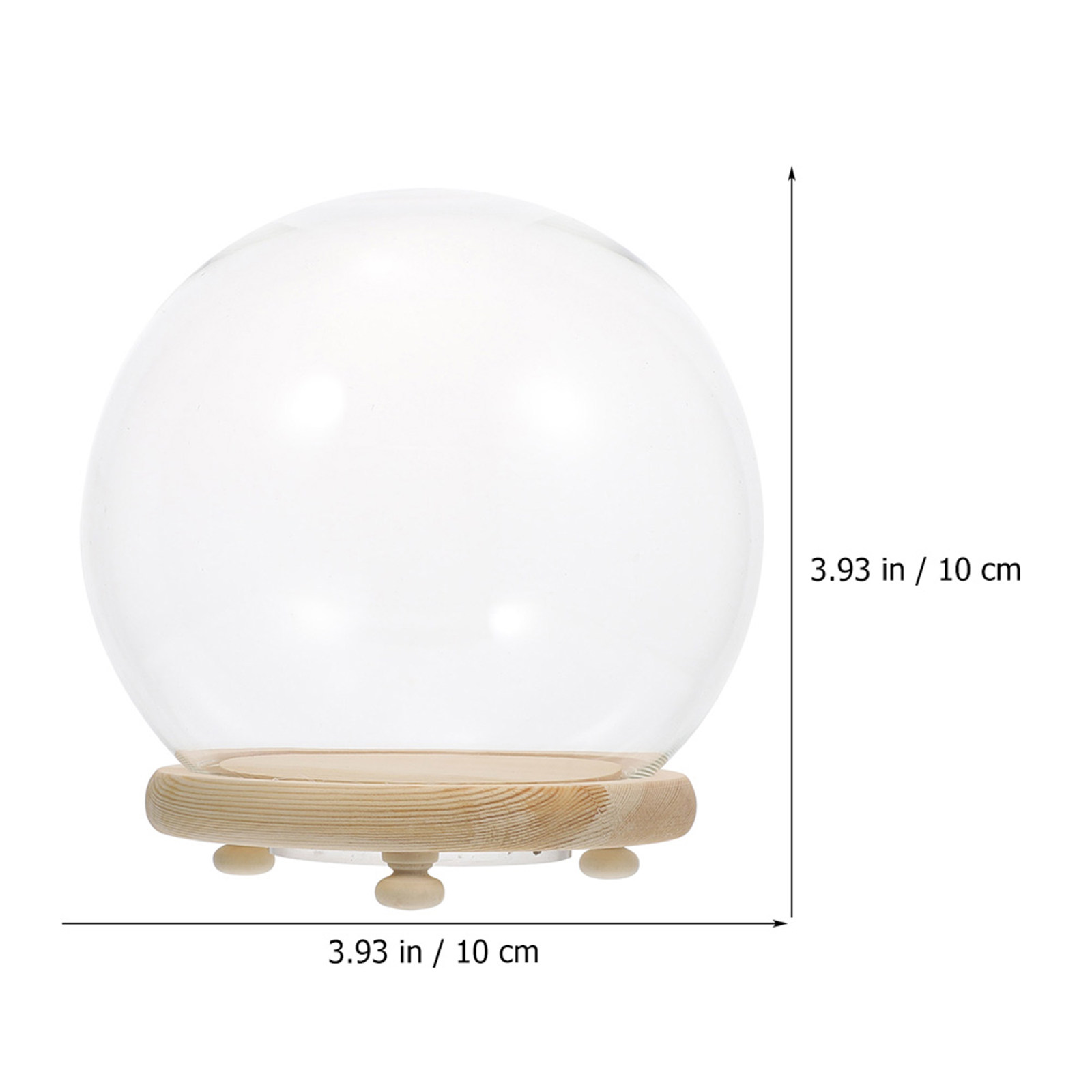 โดมแก้วใสสำหรับจัดแสดงดอกไม้ที - Plastic Dome Clear บทวิจารณ์และราคา
