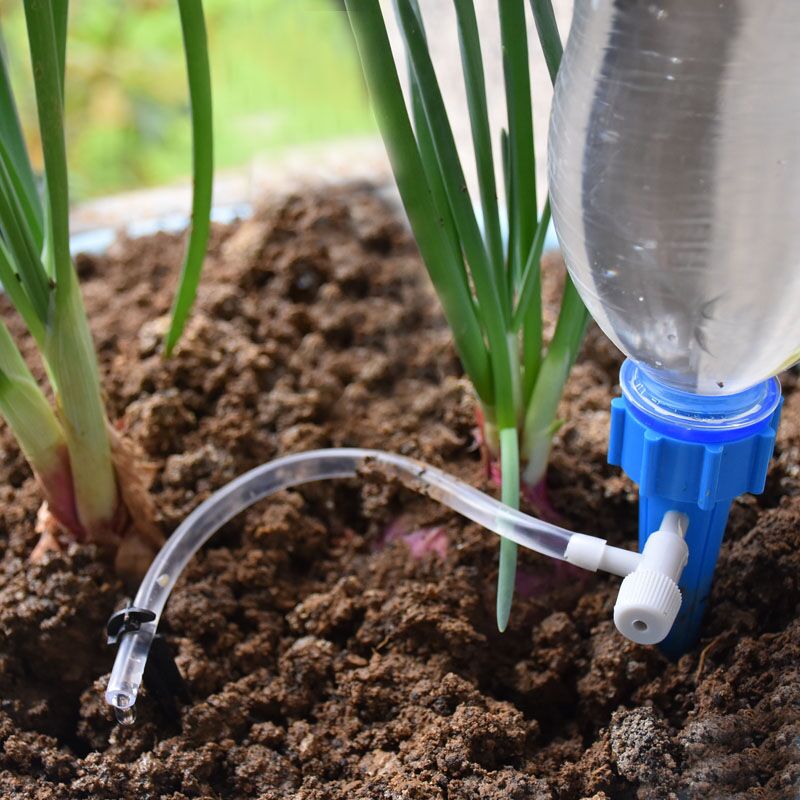 หยดชลประทานอัตโนมัติ Plant Wat - Self Watering Insert บทวิจารณ์และราคา