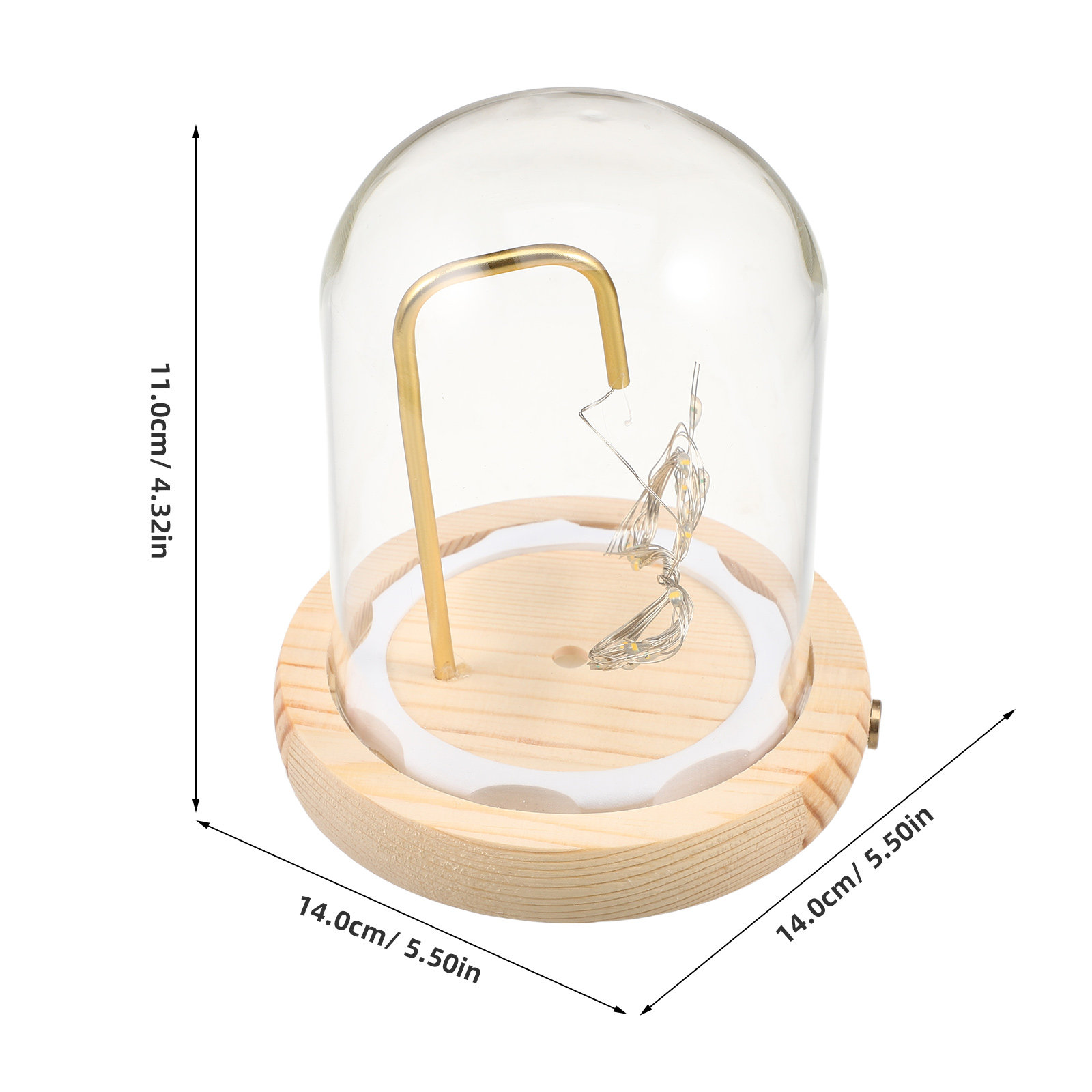 โดมแก้วโชว์สินค้าพร้อมฐานไม้ ไ - Plastic Dome Clear บทวิจารณ์และราคา