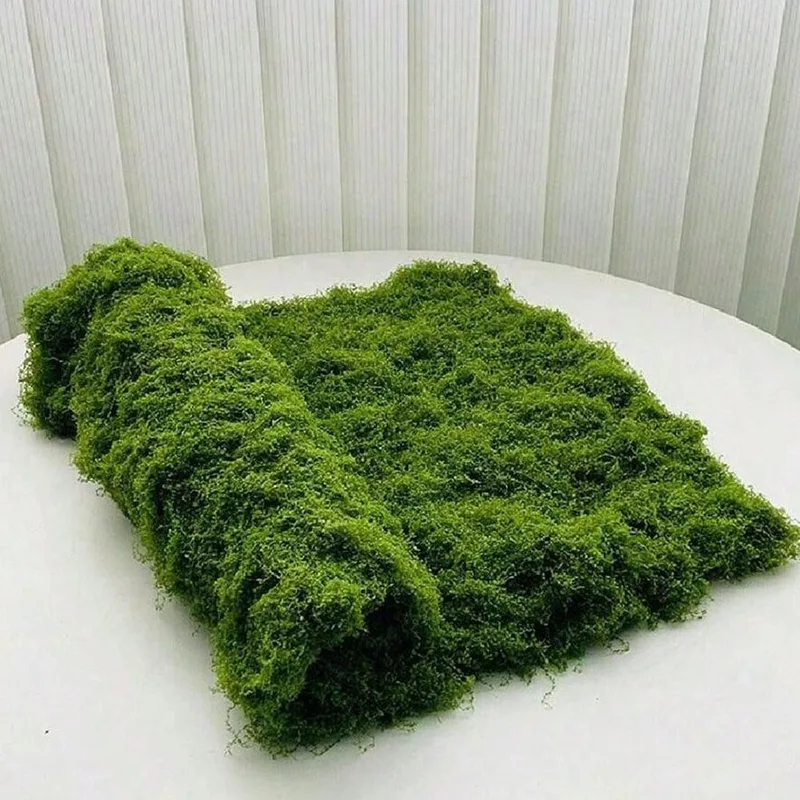 มอสเทียมสำหรับตกแต่งไมโครแลนด์ - Sphagnum Moss Dry บทวิจารณ์และราคา